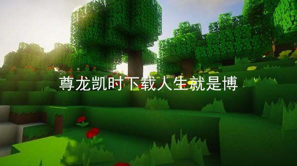 尊龙凯时下载人生就是博