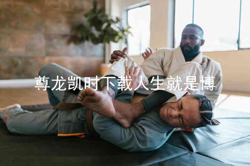 尊龙凯时下载人生就是博