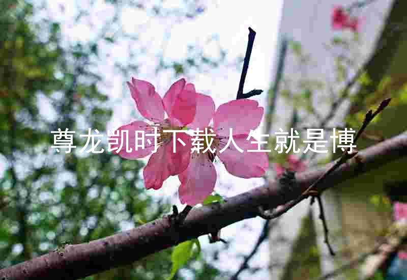 尊龙凯时下载人生就是博