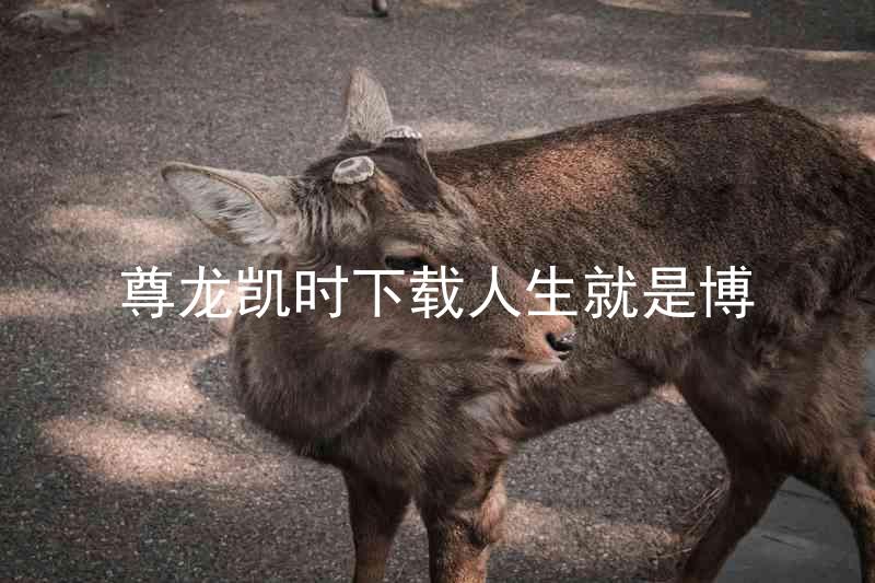 尊龙凯时下载人生就是博