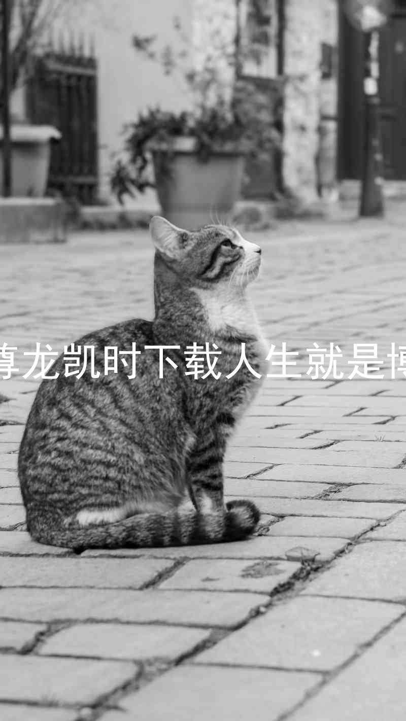 尊龙凯时下载人生就是博