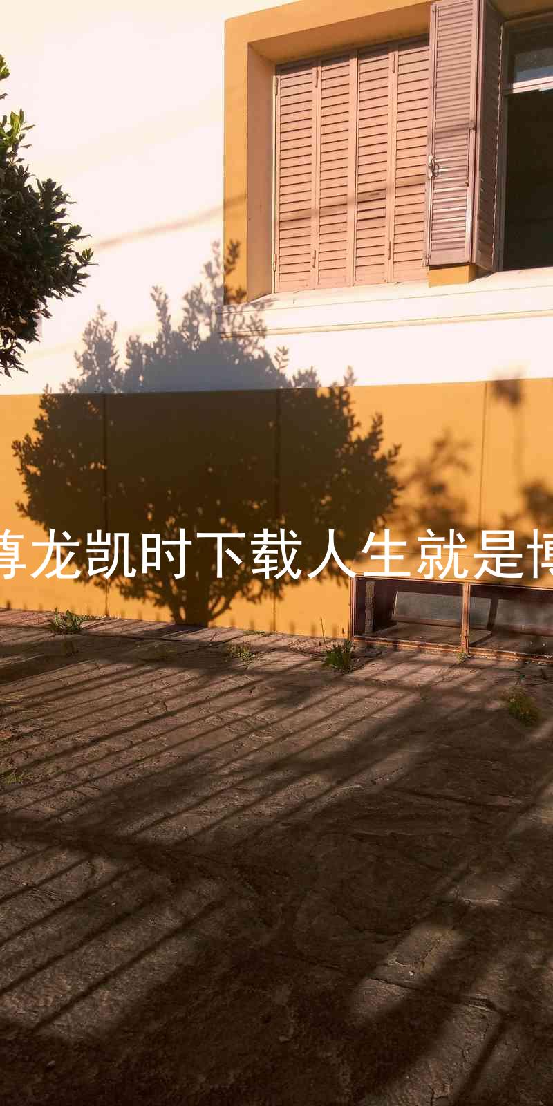 尊龙凯时下载人生就是博