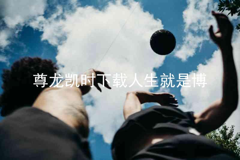尊龙凯时下载人生就是博