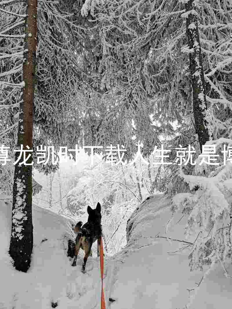 尊龙凯时下载人生就是博